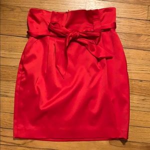 2 for $15 Express Satin Tube Skirt